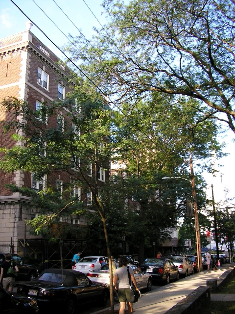 P8080019.jpgw480h640