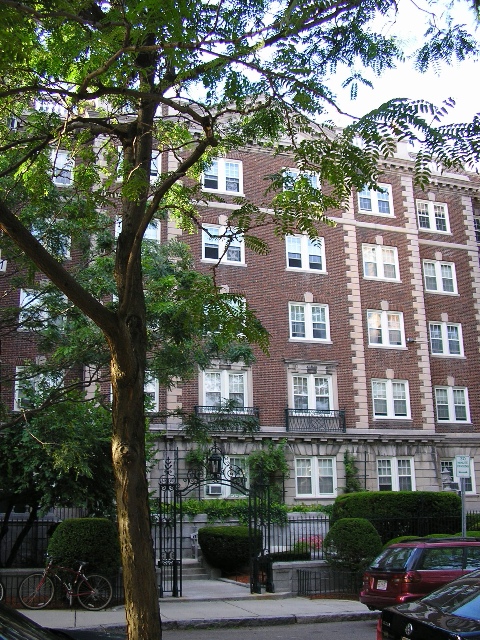 P8080021.jpgw480h640